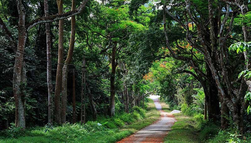Hanoi Mountain Bike Tour Ba Vi National Park 1 Day